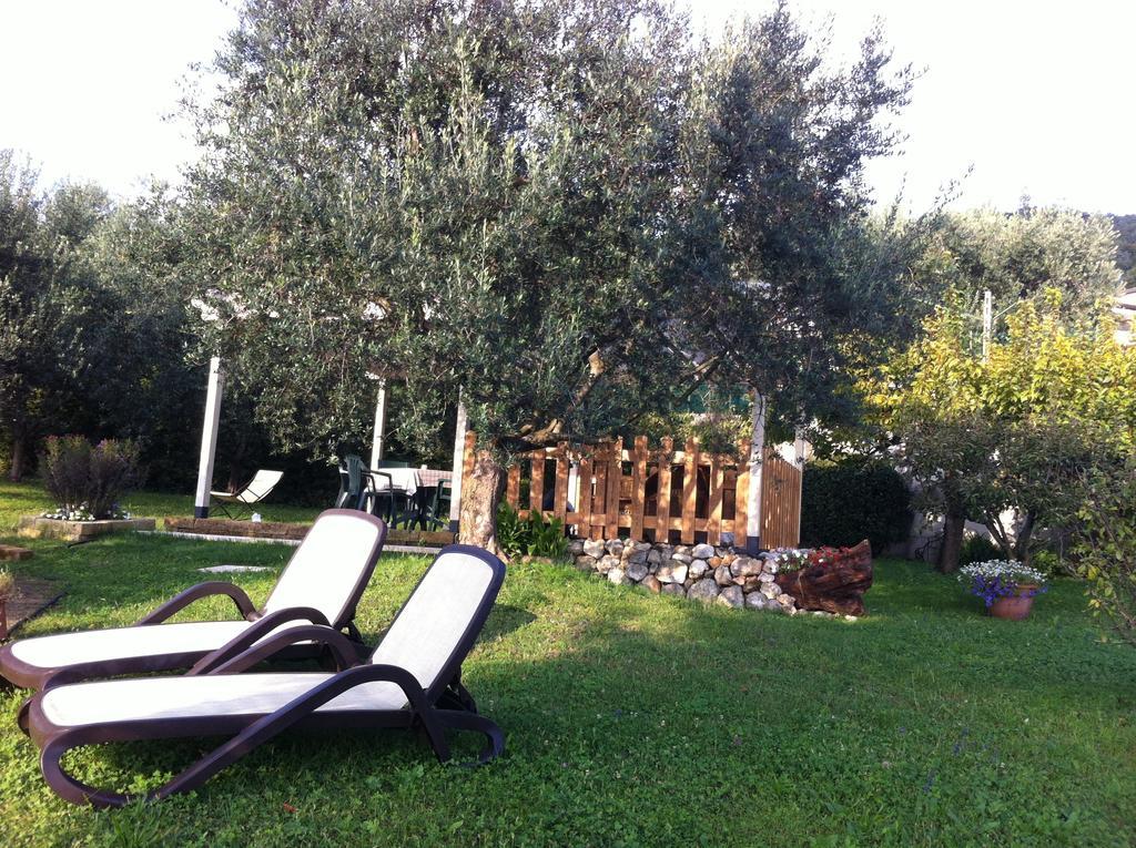 Agriturismo Casa Rosa Verona Eksteriør billede