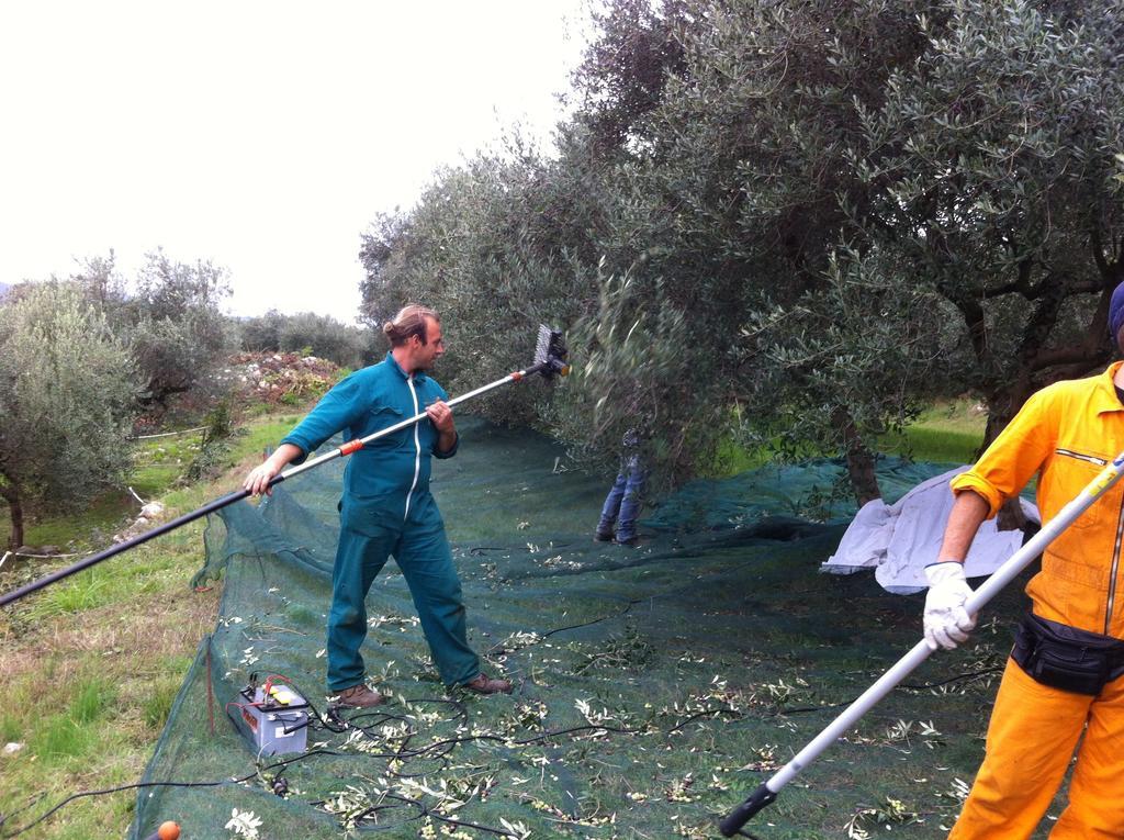 Agriturismo Casa Rosa Verona Eksteriør billede