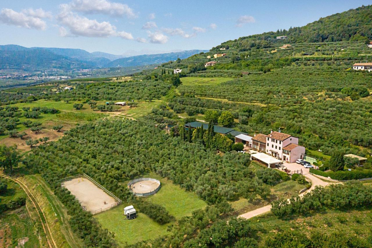 Agriturismo Casa Rosa Verona Eksteriør billede