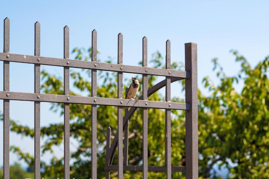 Agriturismo Casa Rosa Verona Eksteriør billede